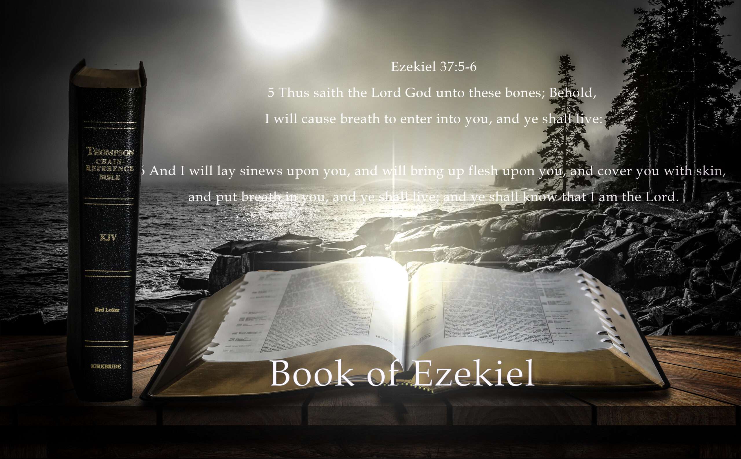 Book of Ezekiel