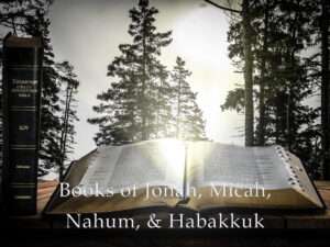 Books of Jonah, Micah, Nahum, & Habakkuk