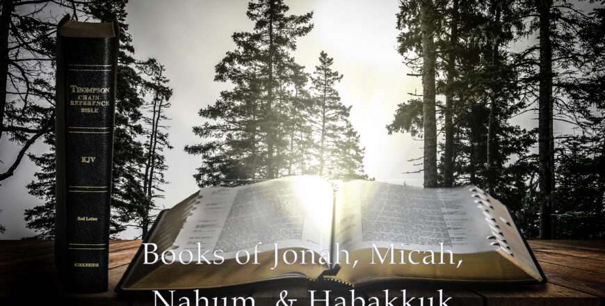 Books of Jonah, Micah, Nahum, & Habakkuk