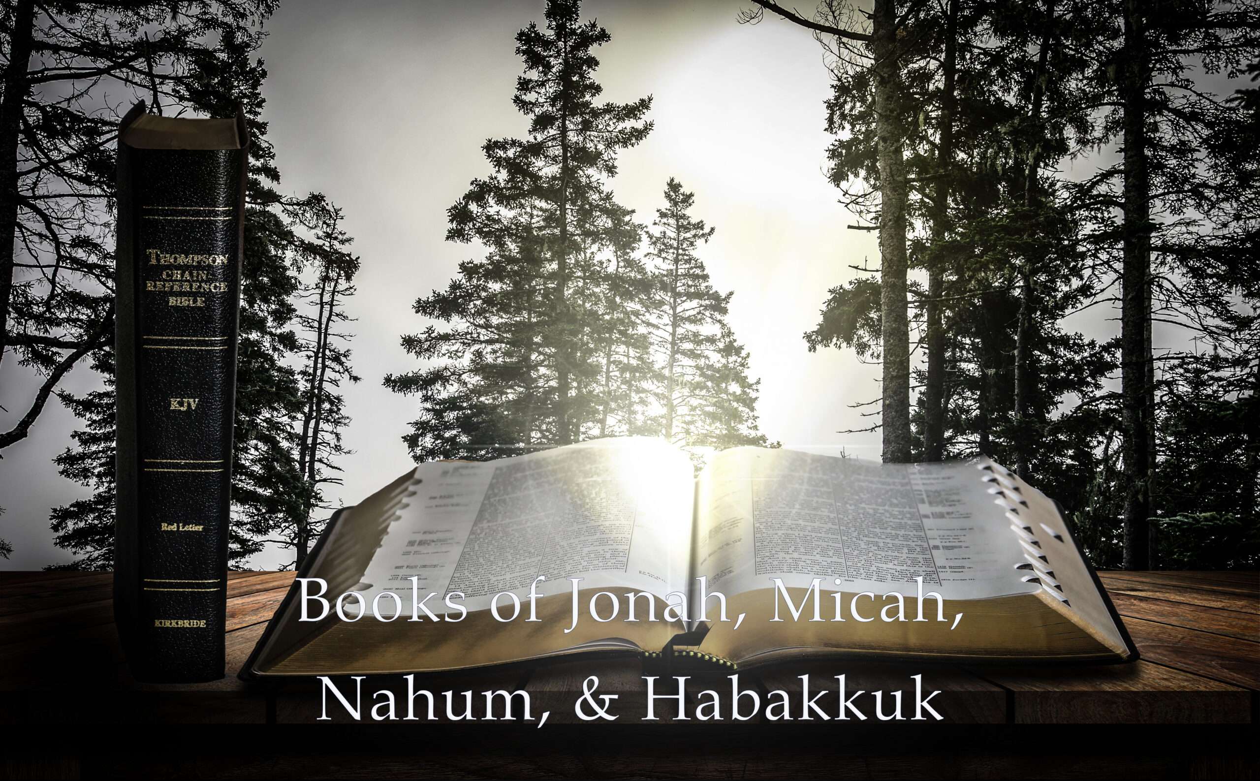 Books of Jonah, Micah, Nahum, & Habakkuk