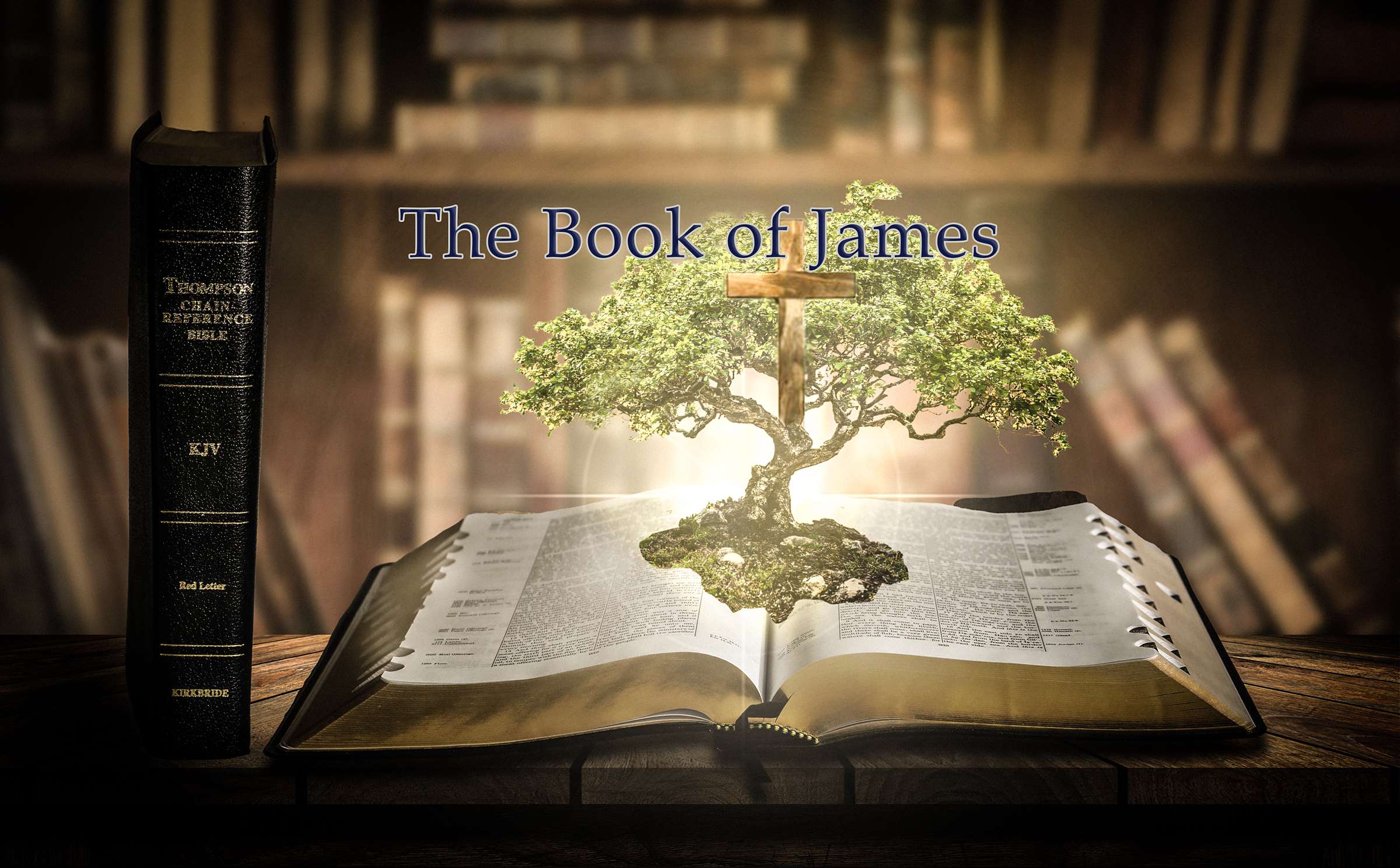 The Book of James